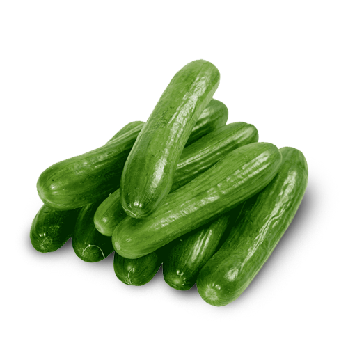 Cucumber
